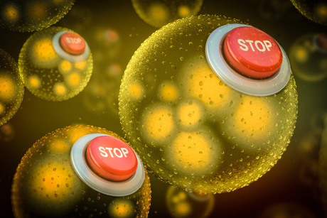 Kill switches for synthetic bacteria
