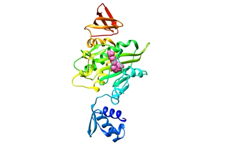 Vitamin mimic could treat golden staph