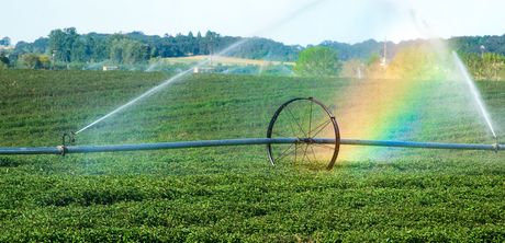 New app for irrigators cuts costs