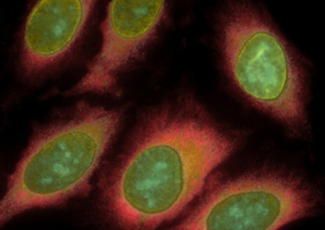 Dry and resoak: the new way to speed up bioassays