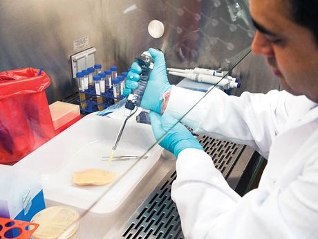 Stopping foodborne bacteria at the source