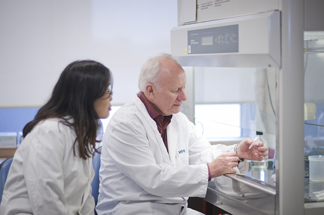 Hyperactive monocytes key to childhood food allergies?