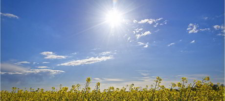 The changing face of enterprise storage in government