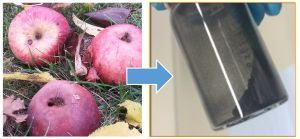 Apple-based sustainable batteries