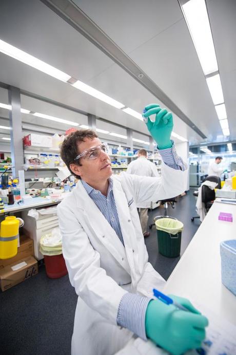 Blood cancer drug&#39;s secret solved