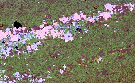 'Footprints' offer clues to solve zinc supply hole 'Footprints' offer clues to solve zinc supply hole