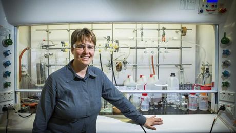 Electric fields as catalysts