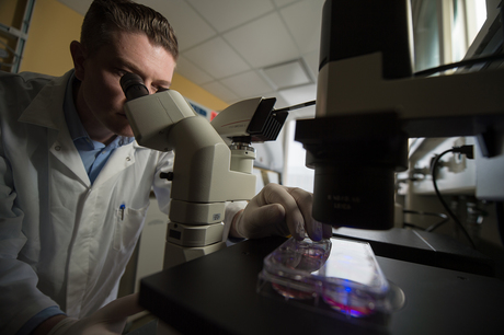 A new kind of stem cell