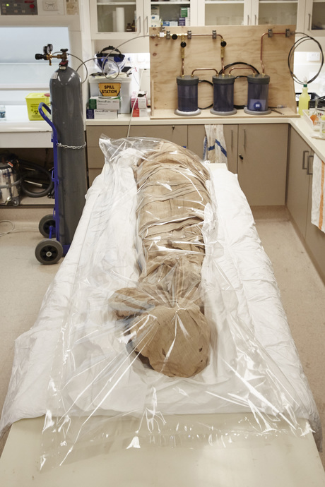 Working hard for the mummy Working hard for the mummy
