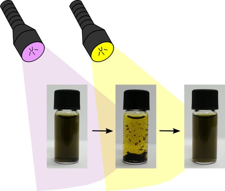 Soap, light and clean water