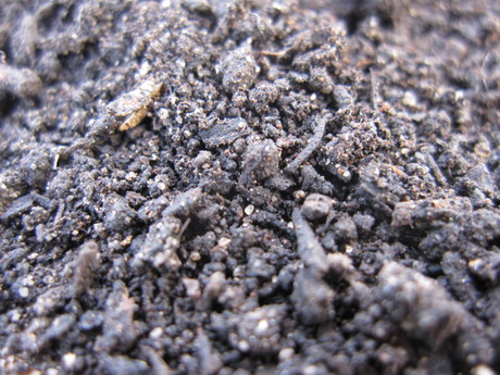 Bags not! Finding the solution for Australia&#39;s plastic bags