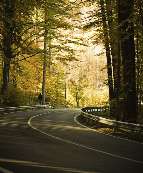 ICTTP2016 conference to tackle global road trauma