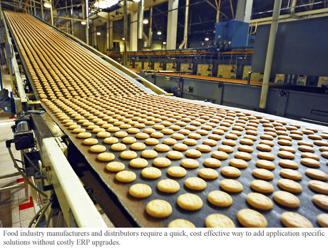 Having your ERP go app Having your ERP go app