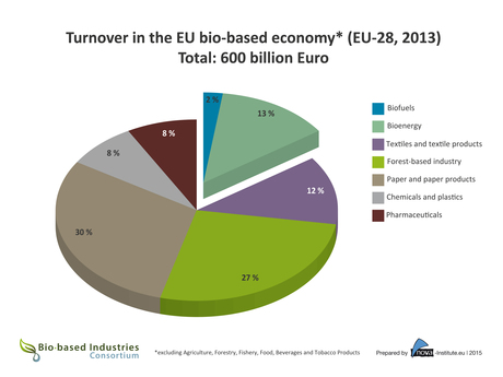 The European bioeconomy under the microscope