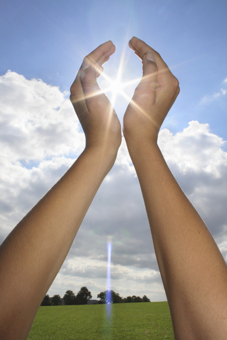 Reverse photosynthesis &mdash; sunlight can be used to produce chemicals and energy