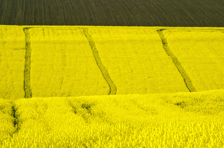 Are sensors, drones and satellite apps the future for agribusiness?