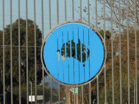 CSIRO selects 11 teams for ON Accelerator program