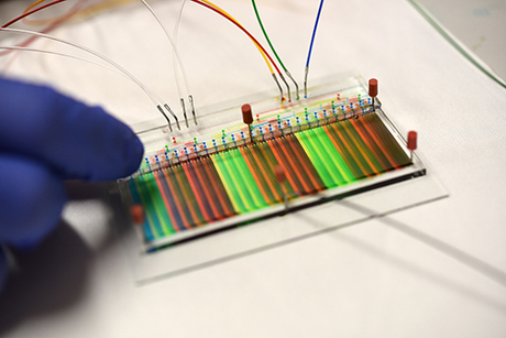 Swift drug screening with a small device