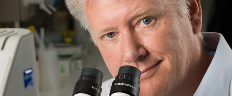 Antibody slows the spread of cancers