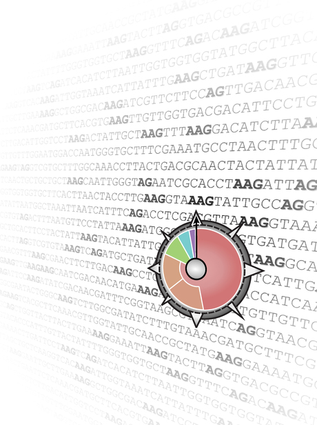 Rapid identification of CRISPR-Cas system PAMs Rapid identification of CRISPR-Cas system PAMs