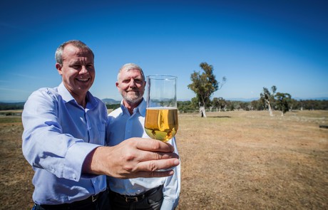 Germany's gluten-free beer has its origins in Australian science Germany's gluten-free beer has its origins in Australian science