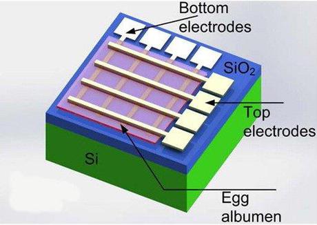 Dissolvable electronics one step closer