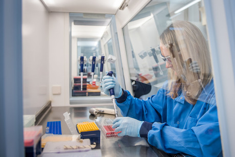 Universal flu vaccine under development