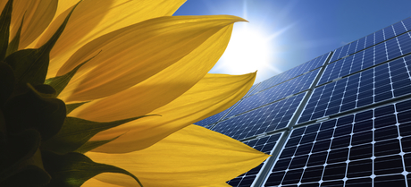 The push and pull of commercial solar in Australia