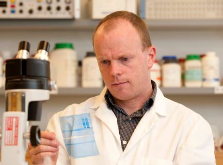 Down syndrome gene points to the cause of diabetes