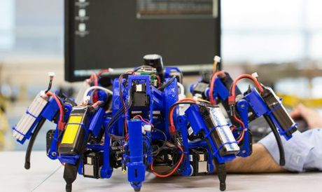 Spider worker robots of the future developed Spider worker robots of the future developed