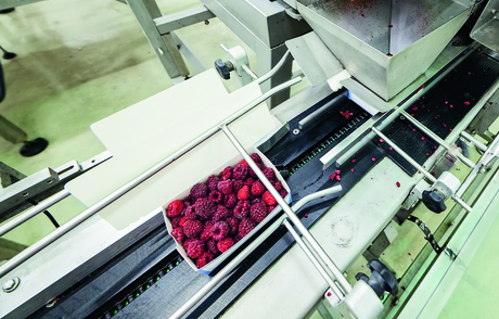 Metal detection or X-ray inspection: what food processors should know Metal detection or X-ray inspection: what food processors should know