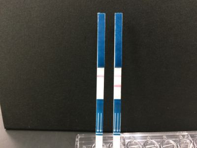 Swift, simple, early Zika detection in blood