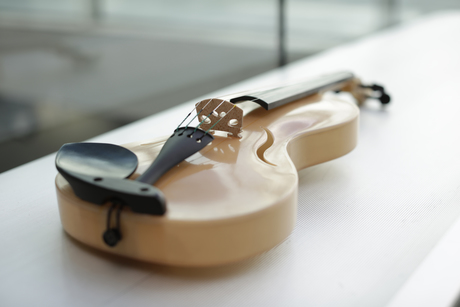 A violin made from spider silk A violin made from spider silk