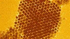 Label detects counterfeiting or tampering