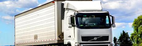 Meat spoilage during storage and transport