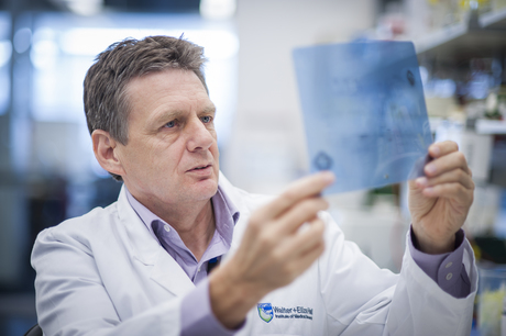 Preventing malaria by removing proteins