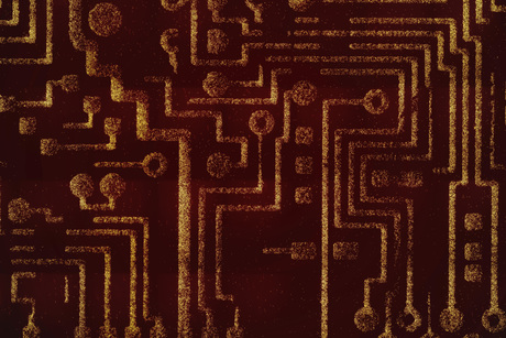 Self-destructing bacteria to fight cancer Self-destructing bacteria to fight cancer