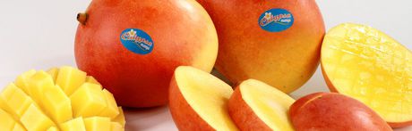 Marketing mangoes Marketing mangoes