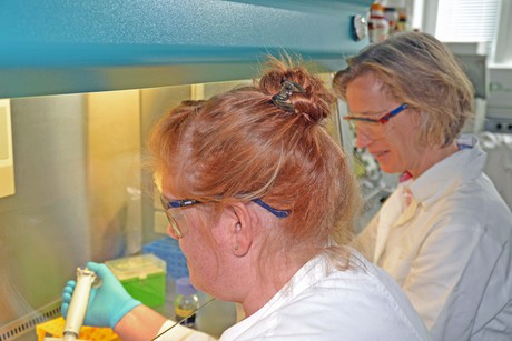 Stopping biofilms before they start Stopping biofilms before they start