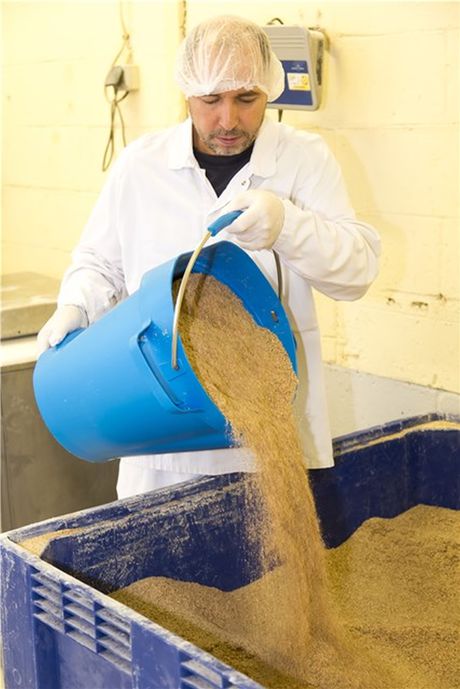 Are your cleaning tools clean?