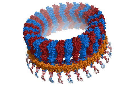 The cause of a common female infection