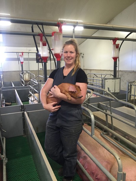 Pork industry placement program a win-win Pork industry placement program a win-win