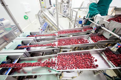 Foodtech Packtech: Everything food and beverage processors need to see &mdash; all under one roof