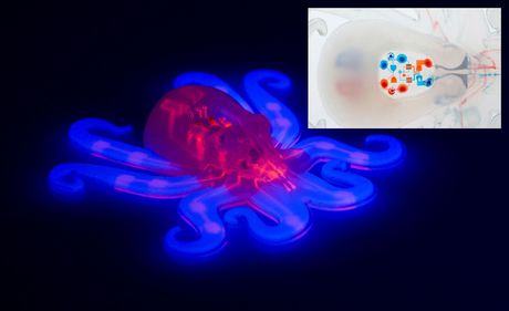 Octobot demonstrates autonomous soft robotics