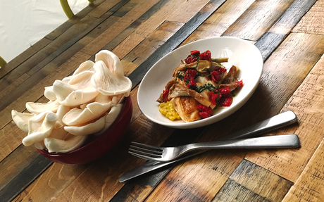 Virgin Australia turns coffee grounds into gourmet mushrooms