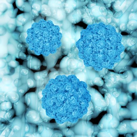 Finally, a way to culture norovirus in the lab Finally, a way to culture norovirus in the lab