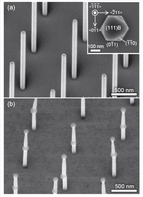 Vertical nanowires standing tall Vertical nanowires standing tall