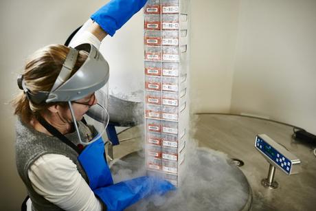 State-of-the-art biobank opens at Museum Victoria