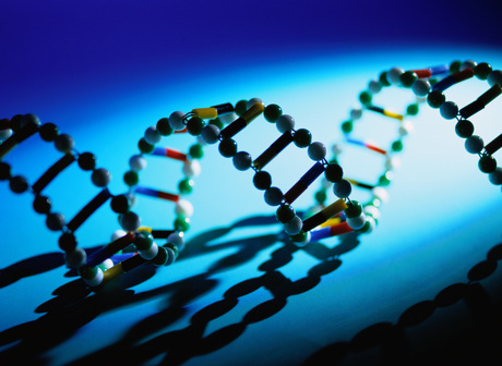 One step closer to tailored cancer treatments One step closer to tailored cancer treatments