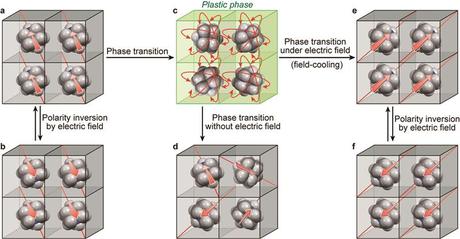 A plastic crystal that can switch polarisation A plastic crystal that can switch polarisation